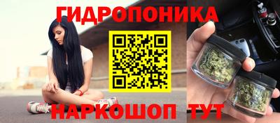 прущие крисы Моздок
