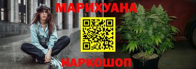 прущие крисы Моздок